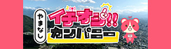 やまなしイチオシカンパニー